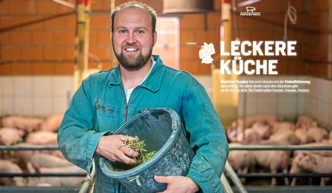 broering, mischfutter, ferkelfütterung, agrarheute, schwein, ferkel